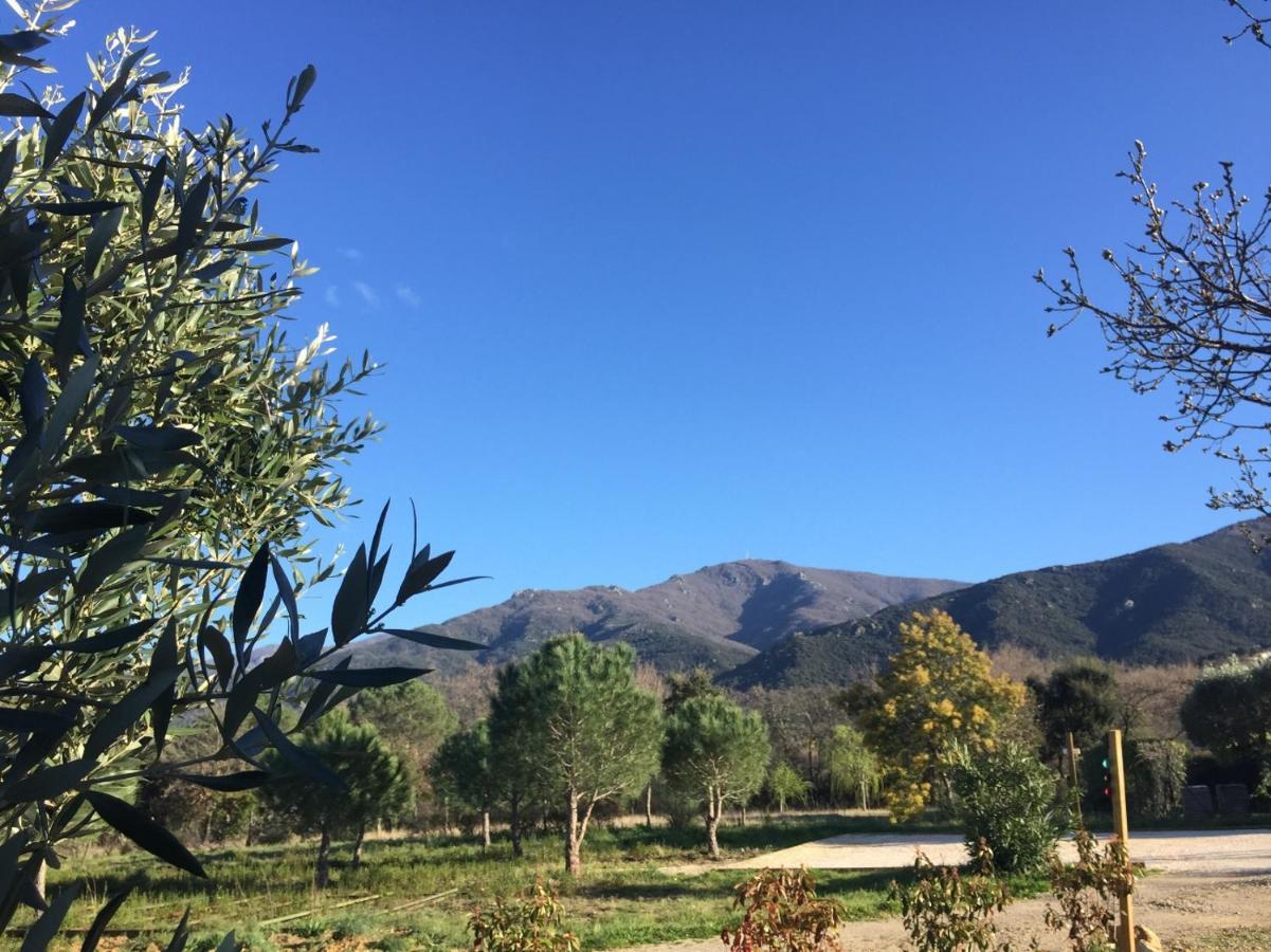Domaine Pedra Llampada Cerise * Villelongue-dels-Monts